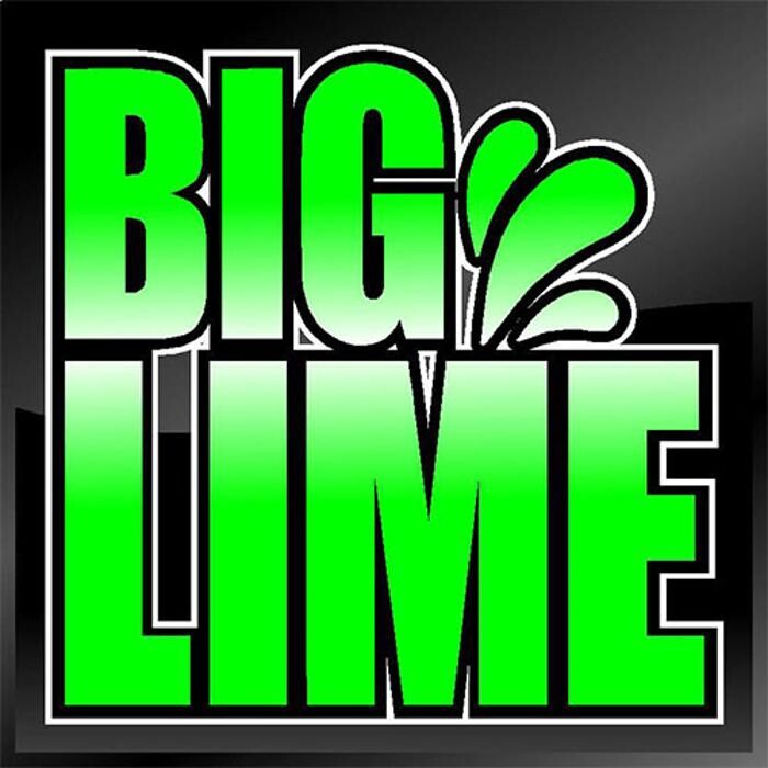 Big Lime Signs & Graphics Logo