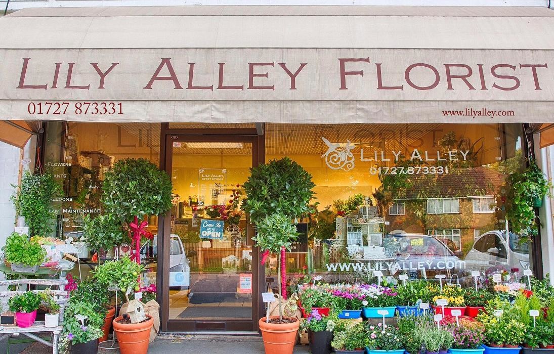 Images Lily Alley Florist