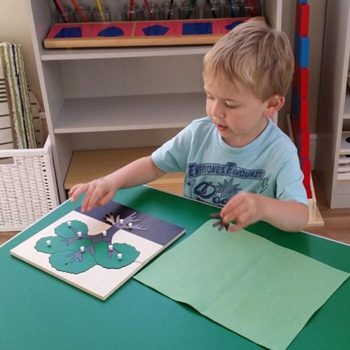 Images Seedlings Montessori Childcare Ltd