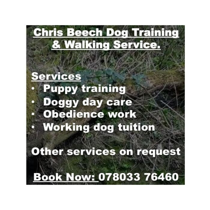 Images Chris Beech Dog Training And Walking Service