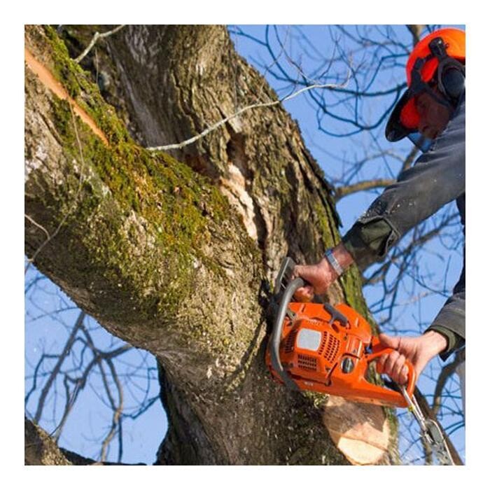Images Cholesbury Tree Fellers