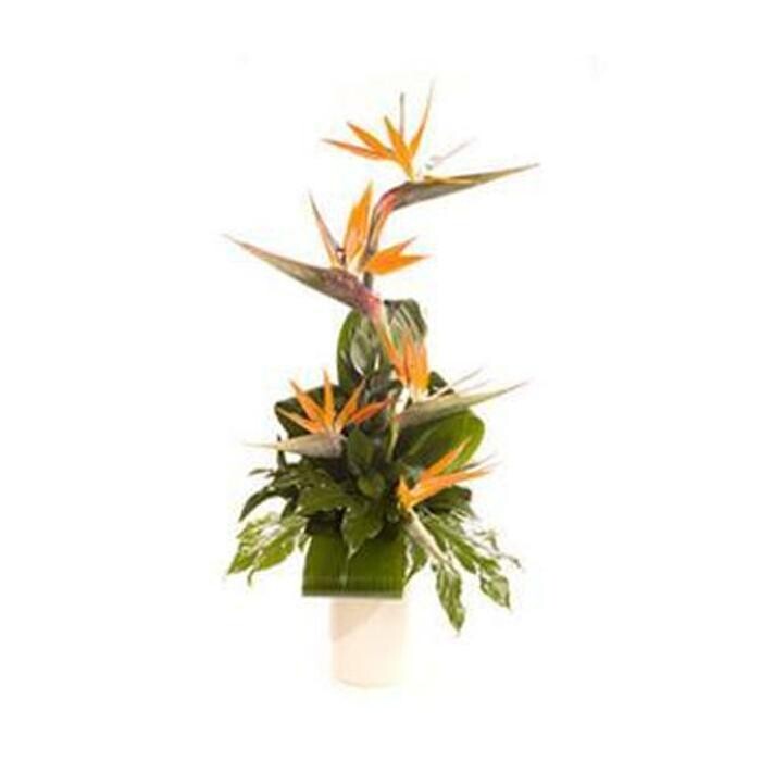 Images Grahams The Florist