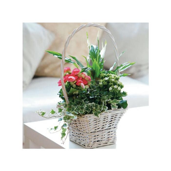 Images Grahams The Florist