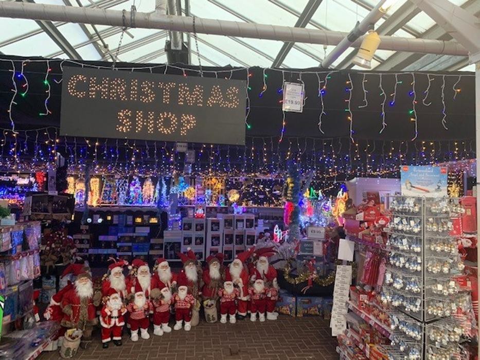 Images Cherry Lane Glebe