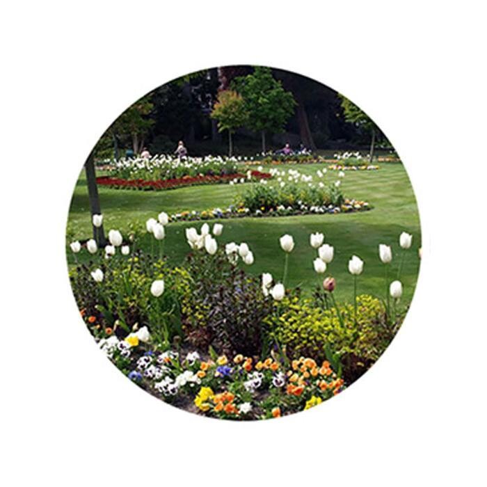 Images The Groundsman Ltd