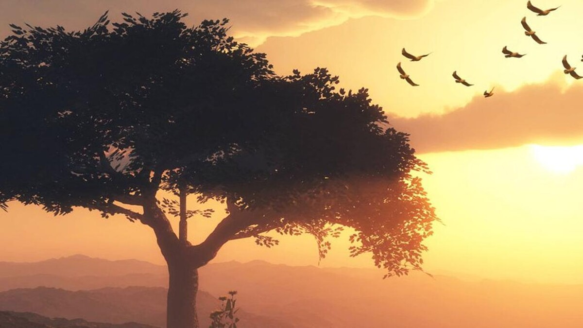 Images ENVIRONMENT HEALING