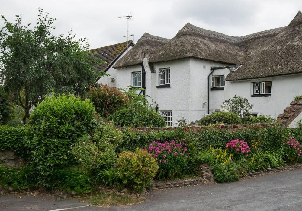 Images Southern Cross Devon Guesthouse and Tea Rooms
