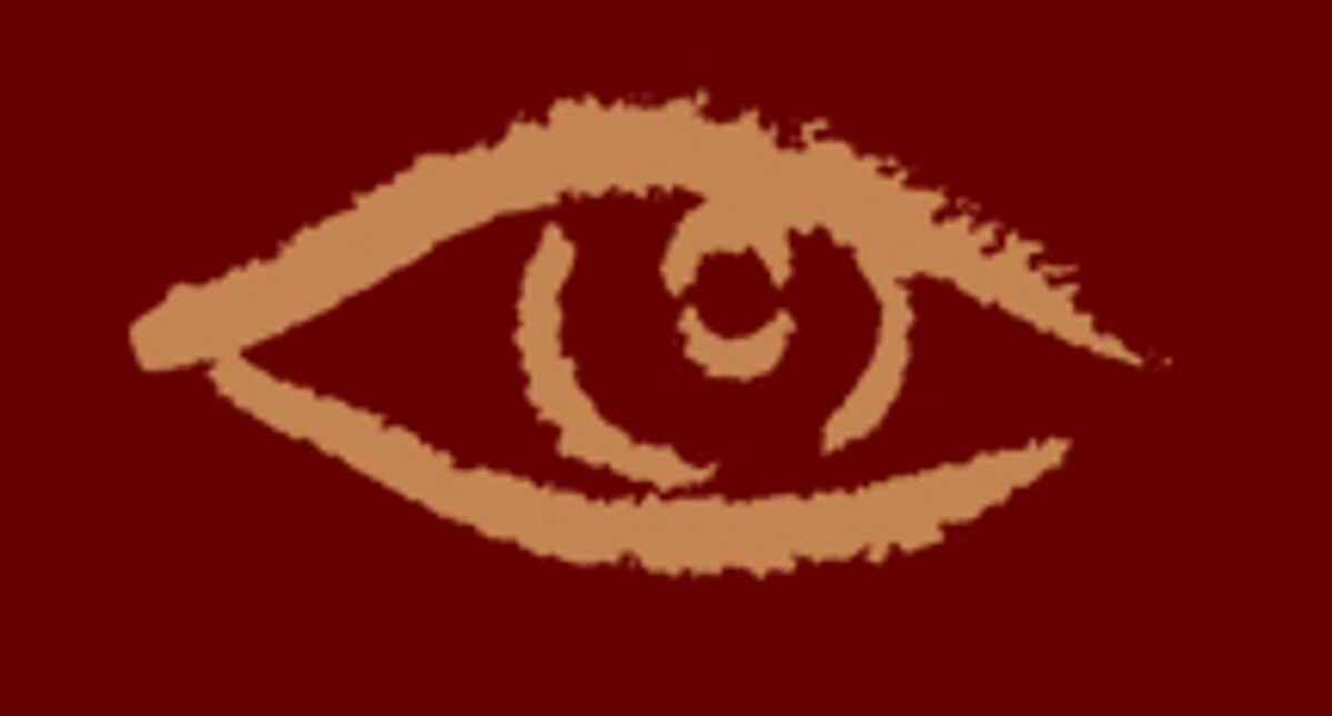 Anne Irving Optometrists Logo