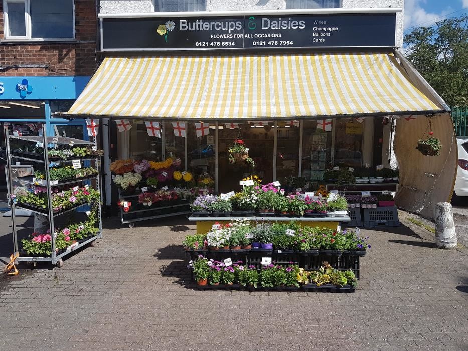 Images Buttercups & Daisies Florist Birmingham