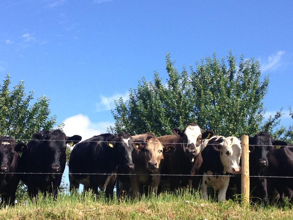 Images Webbington Farm Holiday Cottages