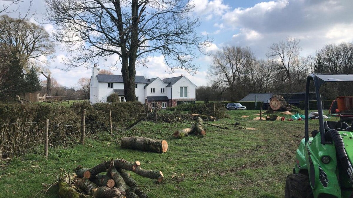 Images Monster Tree Services
