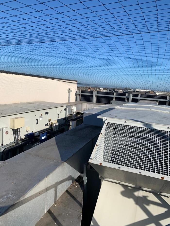 Images Pest Professionals Northampton