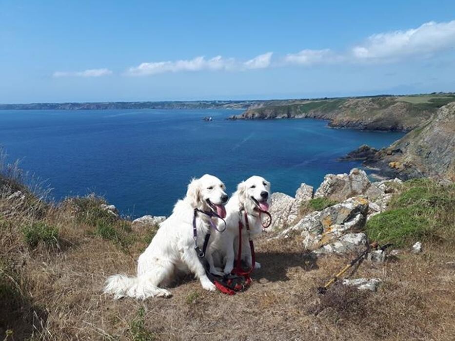 Images Little Trevothan Caravan Park
