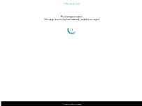 Website Screenshot Primark