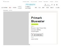 Website Screenshot Primark