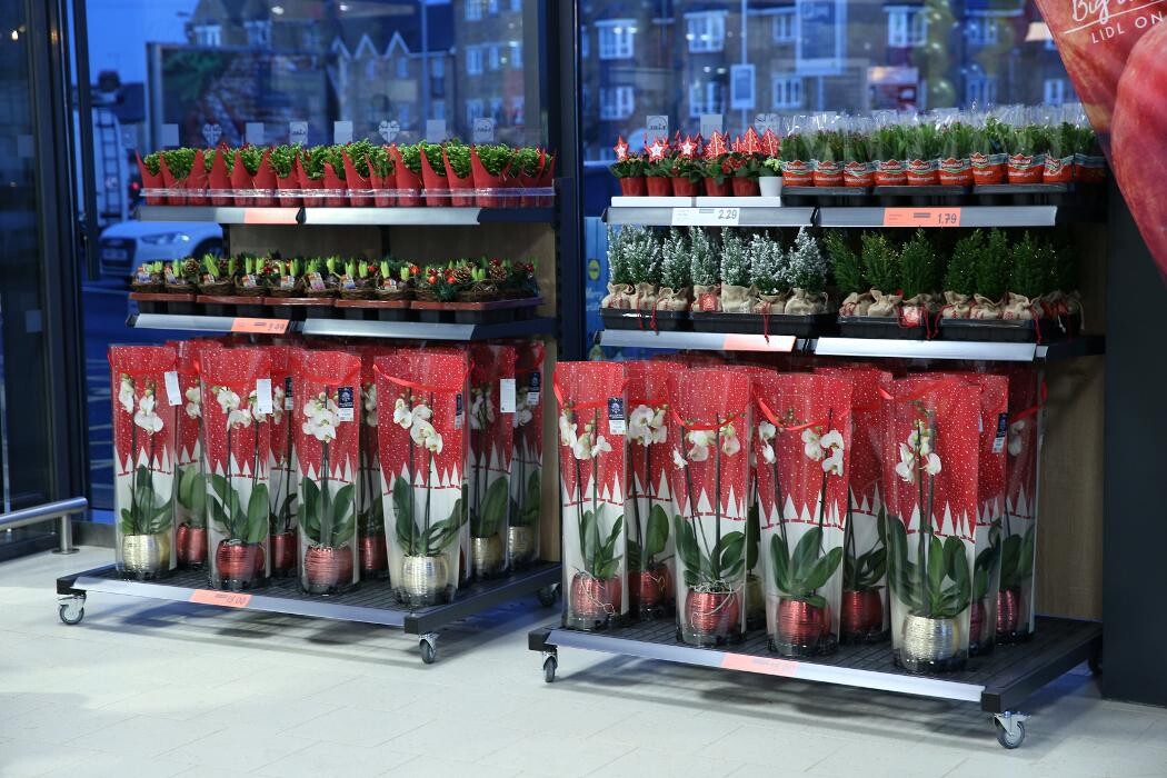 Images Lidl