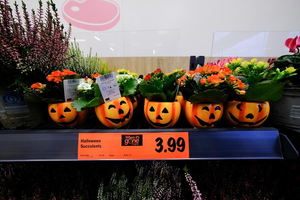 Images Lidl