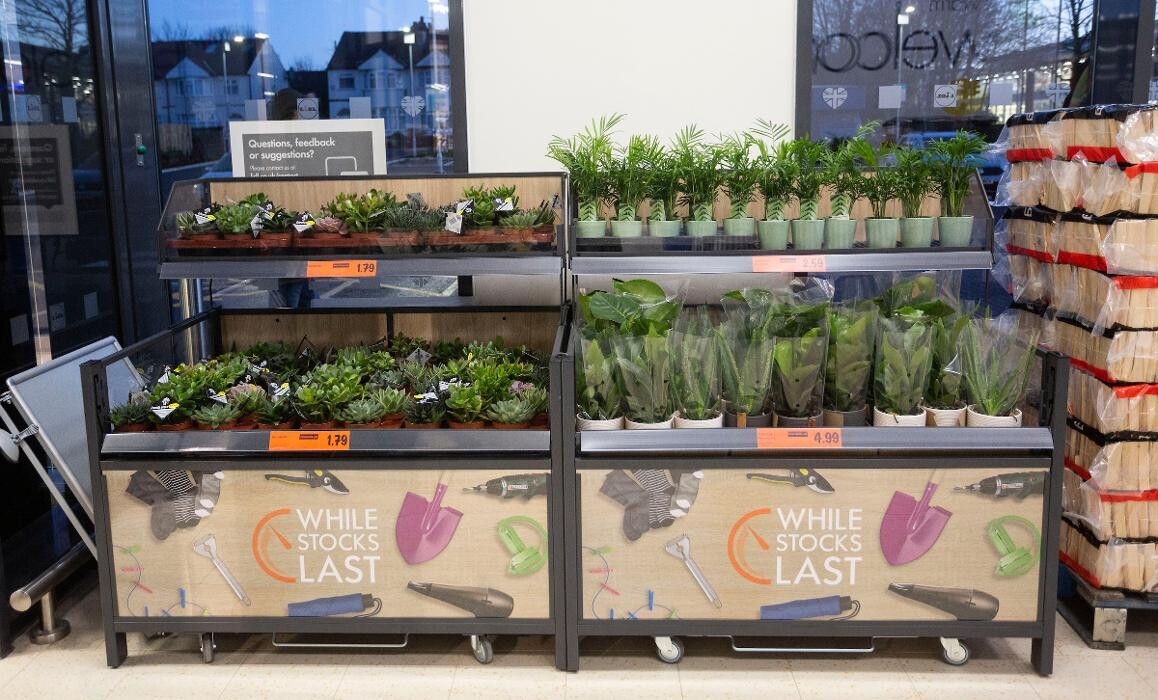 Images Lidl