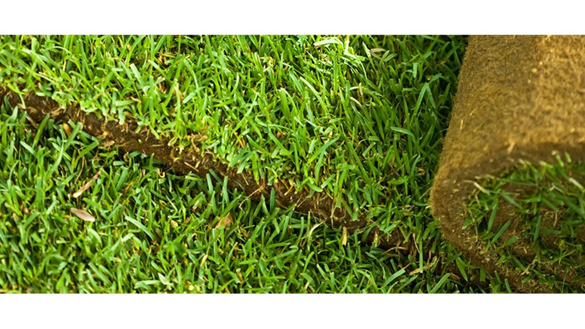 Images Emmerdale Turf Supplies
