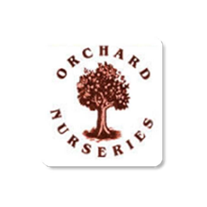 Orchard Nurseries Logo