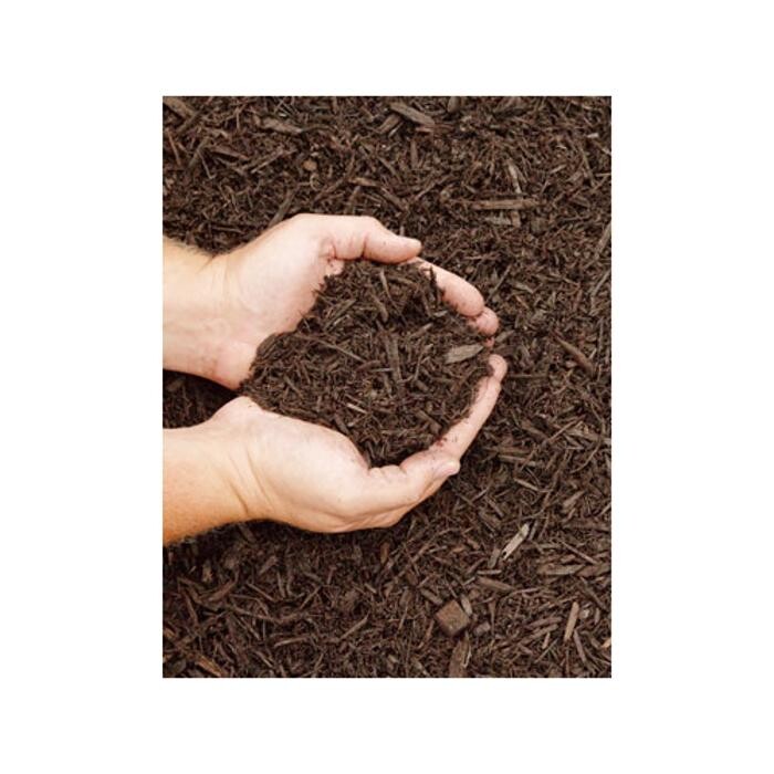 Images Orchard Nurseries