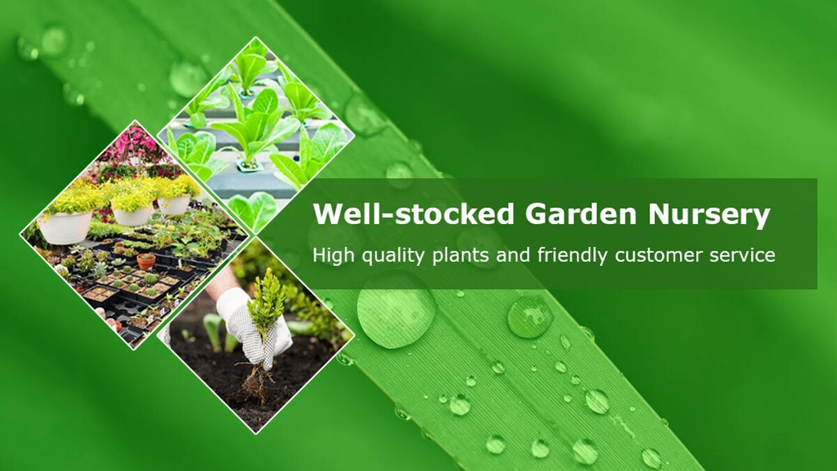 Images Orchard Nurseries