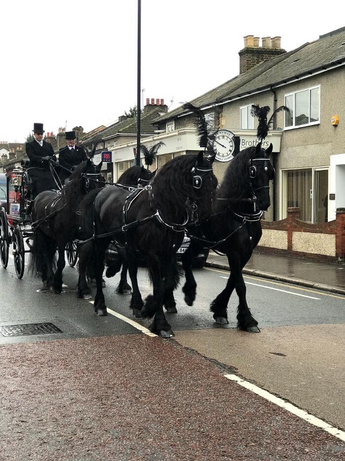 Images Colin Fisher Funeral Directors