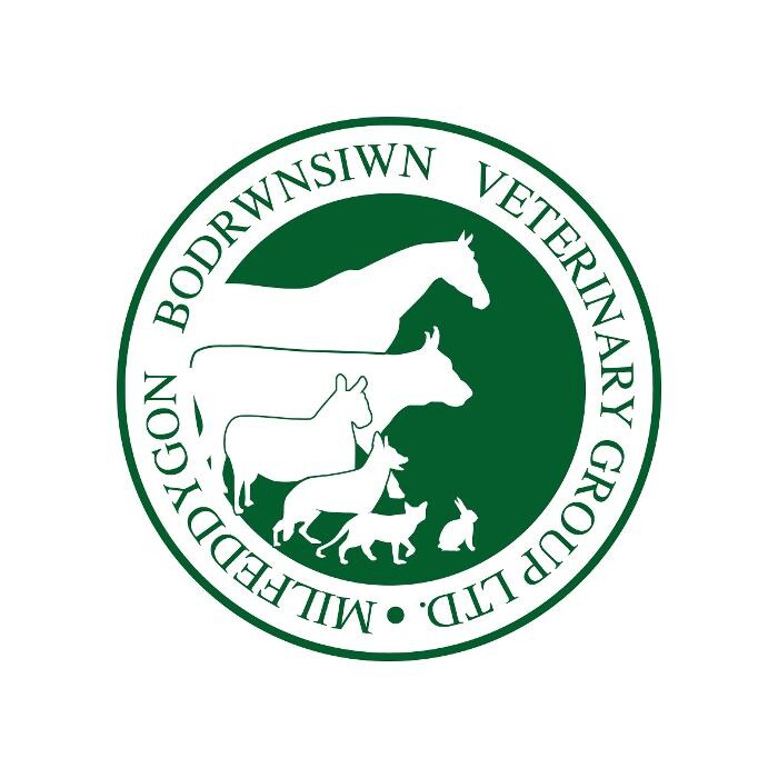 Bodrwnsiwn Veterinary Practice, Amlwch Logo