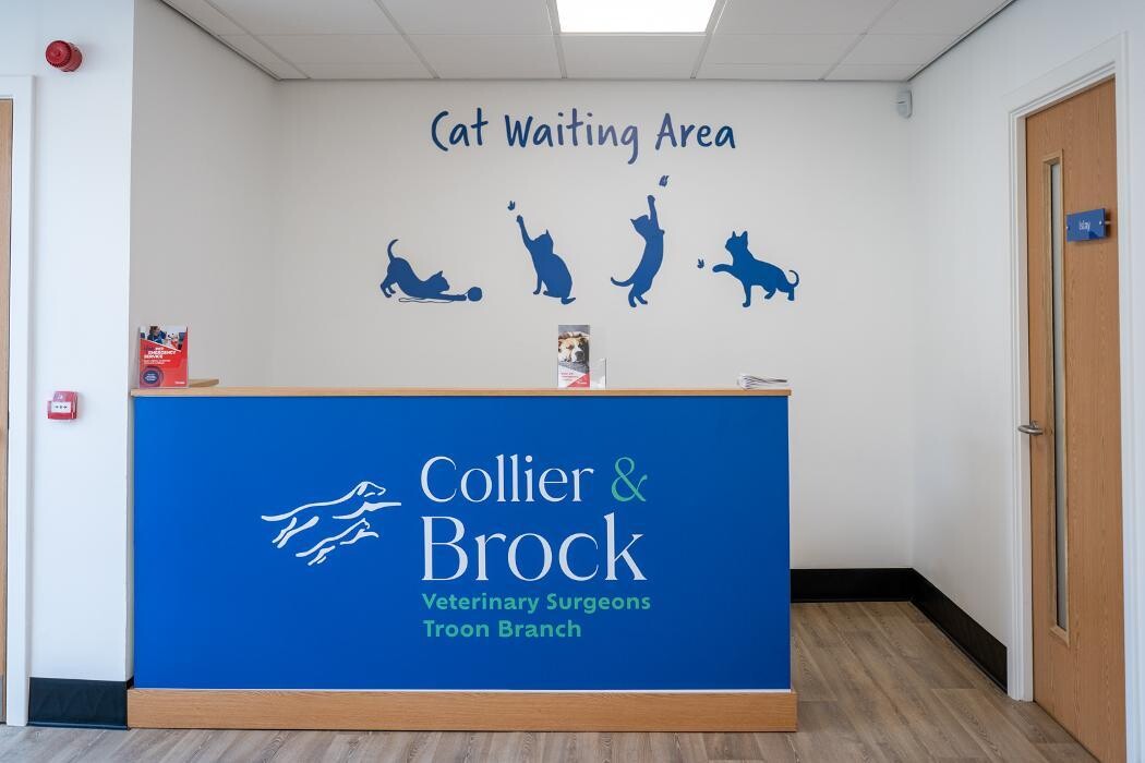 Images Collier and Brock Vets, Troon