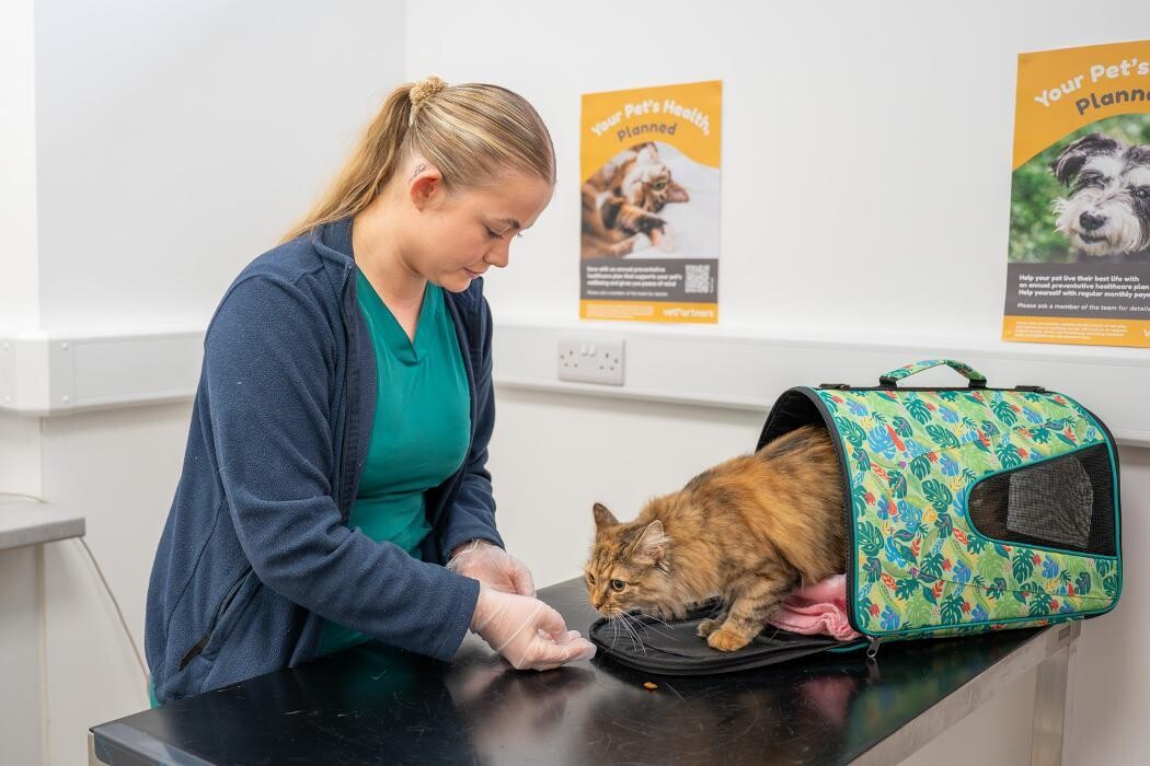 Images Collier and Brock Vets, Troon
