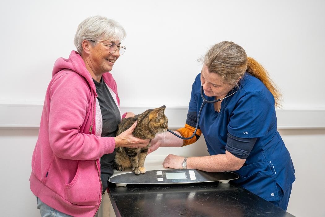 Images Collier and Brock Vets, Troon
