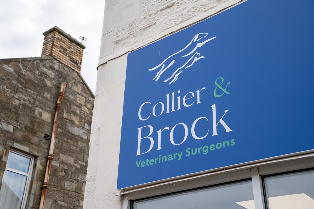 Images Collier and Brock Vets, Troon
