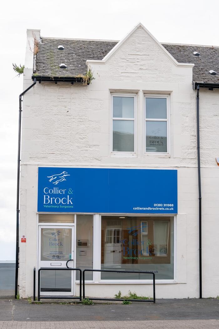 Images Collier and Brock Vets, Troon