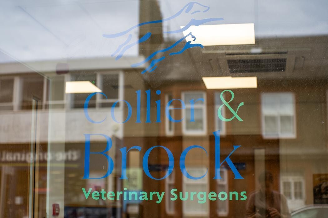 Images Collier and Brock Vets, Troon
