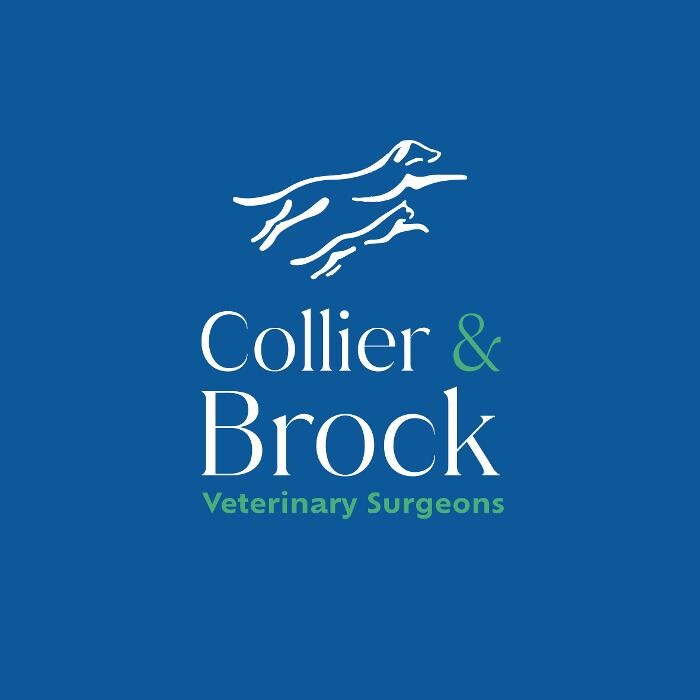 Collier and Brock Vets, Irvine Logo