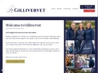 Website Screenshot Gillivervet