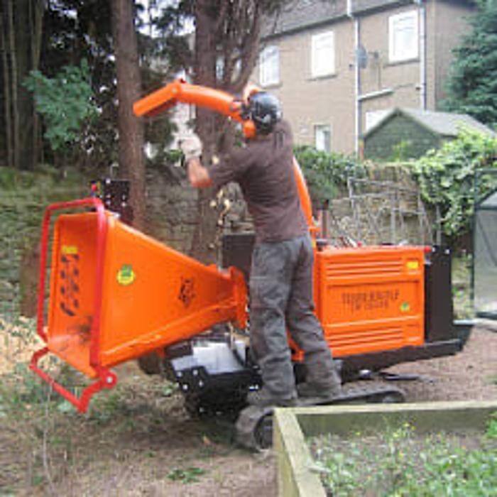 Images MGS Trees Services