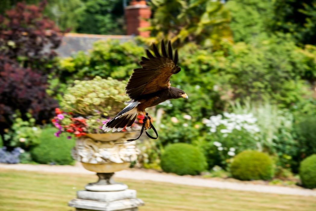 Images Summer Lodge Country House Hotel & Restaurant