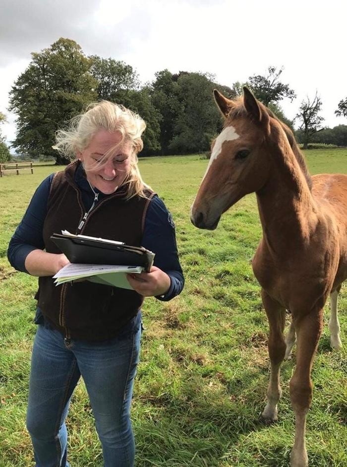 Images Kings Bounty Equine Practice