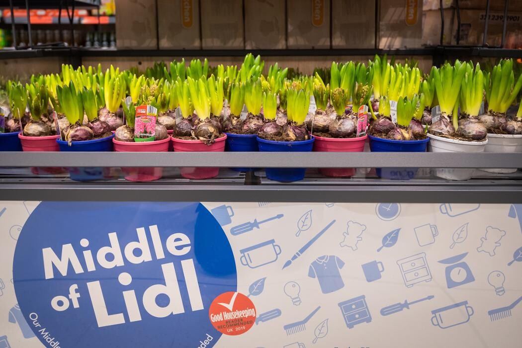 Images Lidl