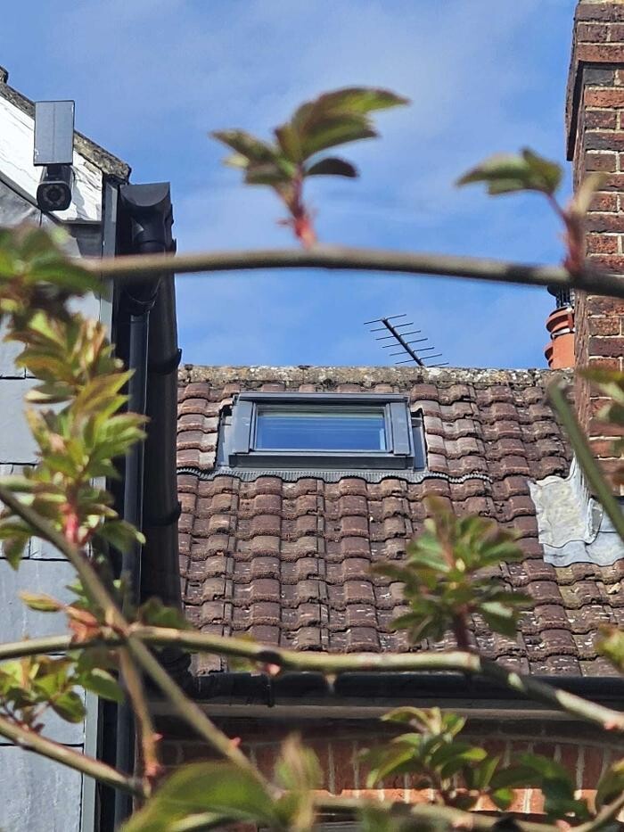 Images The Daylight Doctor Ltd