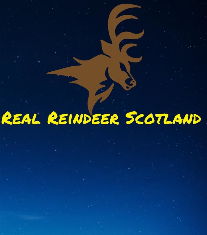 real reindeer scotland Logo