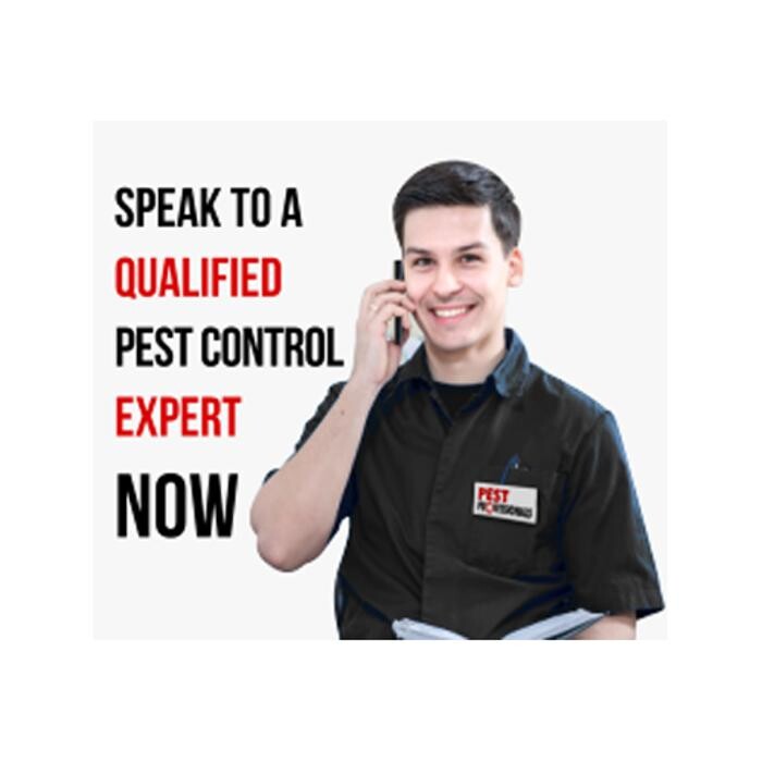 Images Pest Professionals - Central London