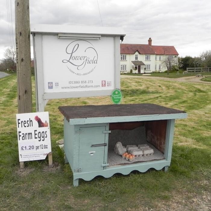 Images Lowerfield Farm