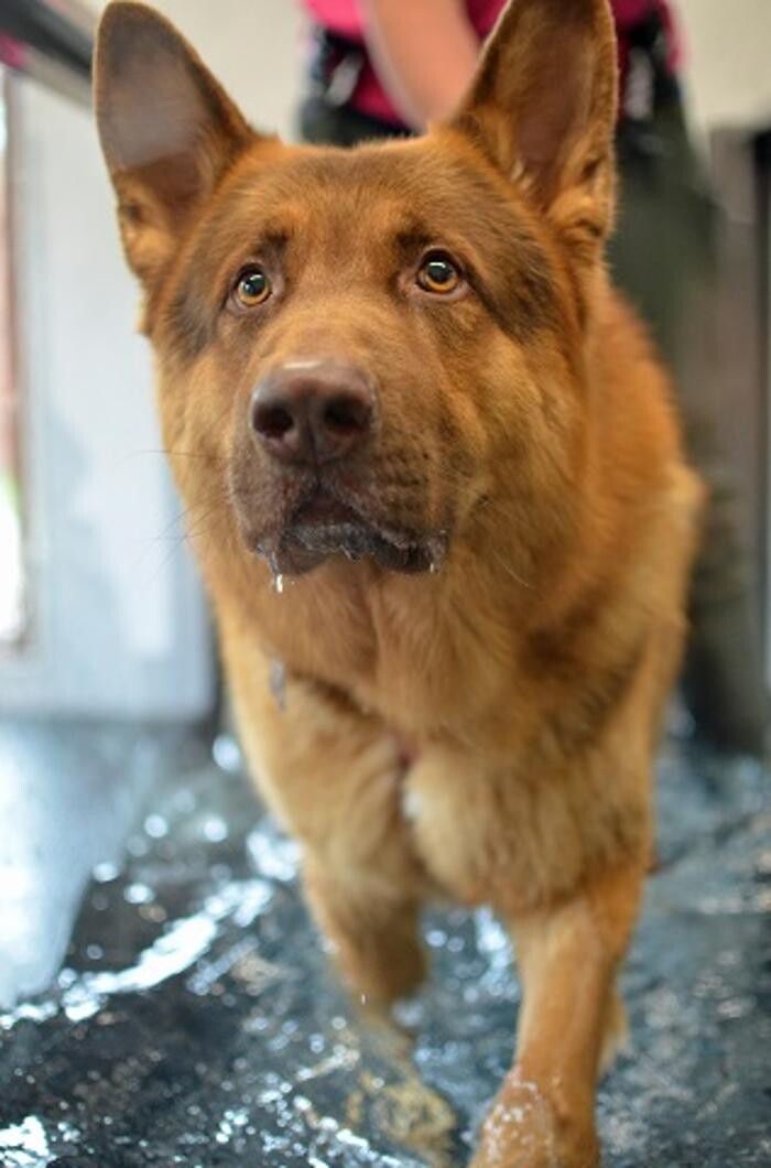 Images Kent and Medway Hydrotherapy