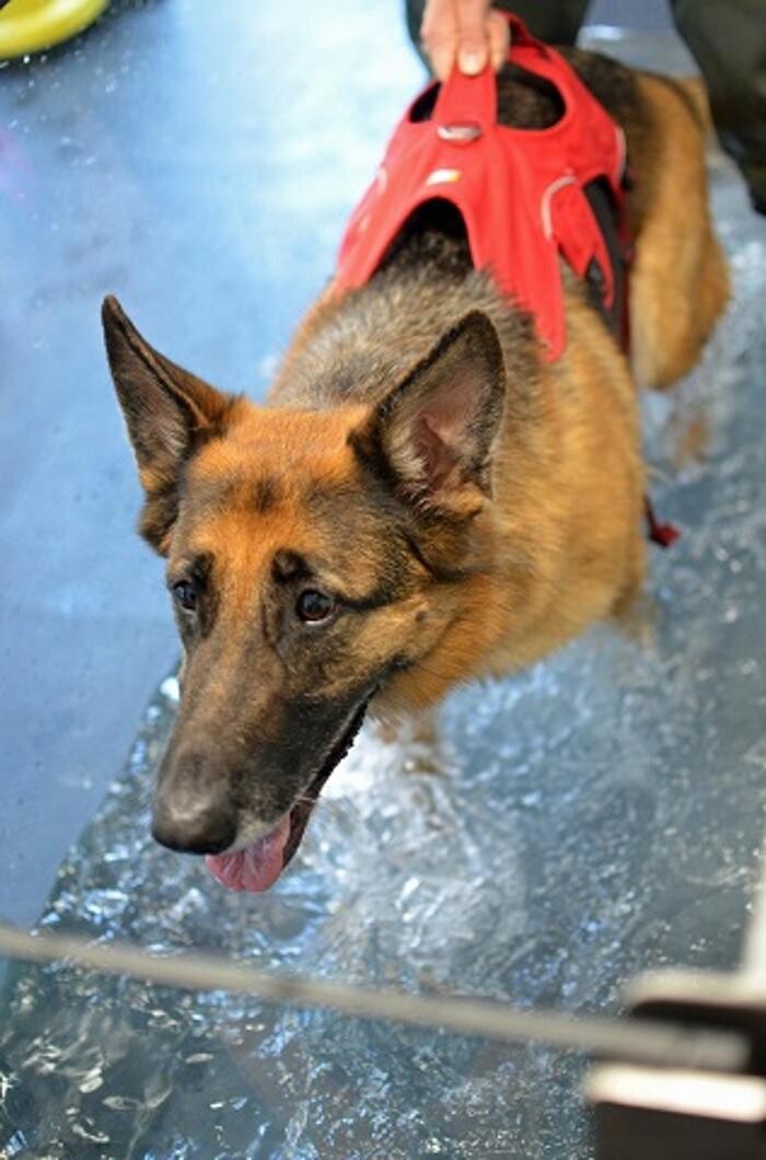 Images Kent and Medway Hydrotherapy