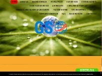 Website Screenshot Gee Shipping