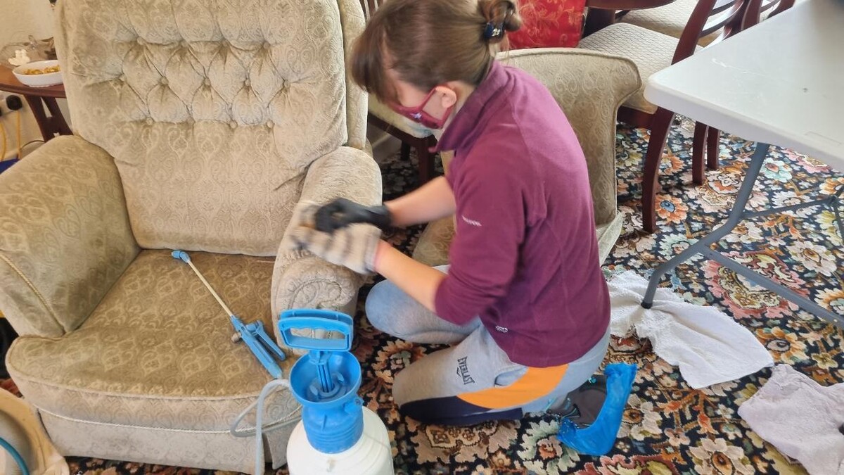 Images Doncaster Carpet Cleaners