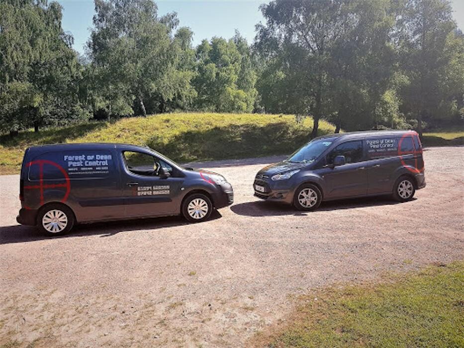 Images Forest Of Dean Pest Control