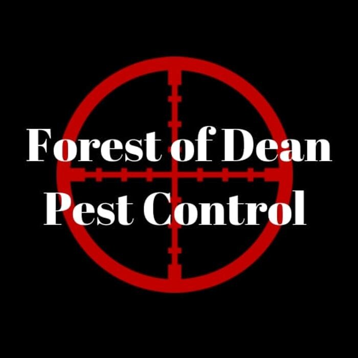 Images Forest Of Dean Pest Control